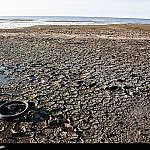 ۲۵ درصد خلیج گرگان خشک شد