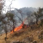 مهار آتش در جنگل‌های ” توسکستان”/ بالگرد سازمان جنگل‌ها نیامده دچار نقص فنی شد