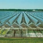 برنامهریزی برای ایجاد هلدینگهای بزرگ کشاورزی در کشور