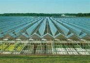 برنامه‌ریزی برای ایجاد هلدینگ‌های بزرگ کشاورزی در کشور