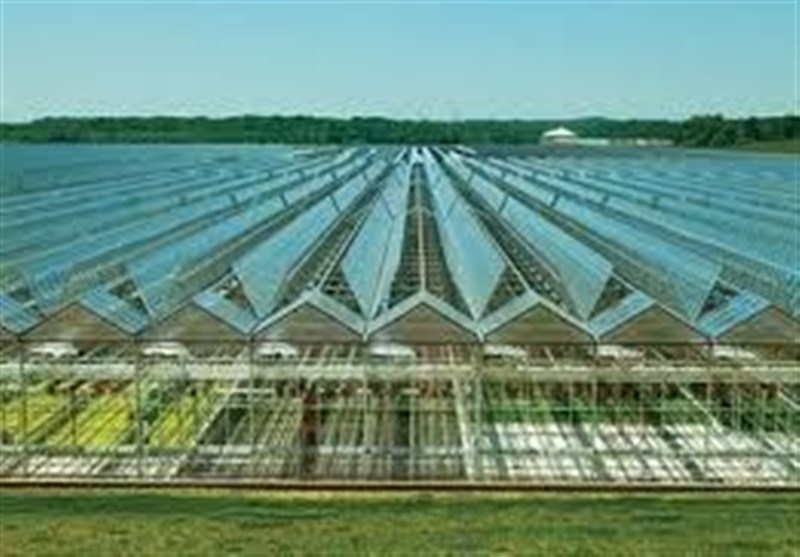 برنامه‌ریزی برای ایجاد هلدینگ‌های بزرگ کشاورزی در کشور